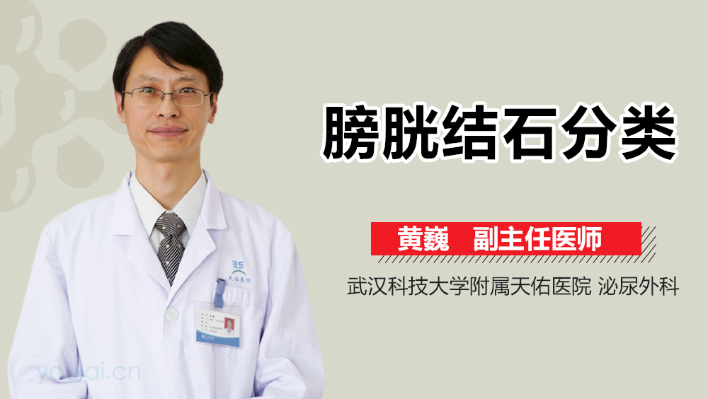 膀胱结石分类