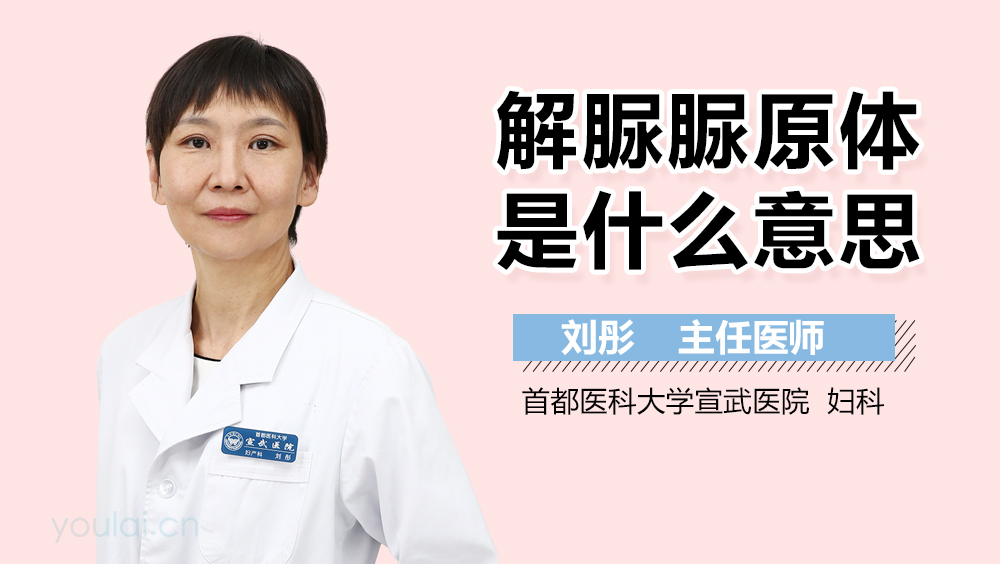 解脲脲原体是什么意思