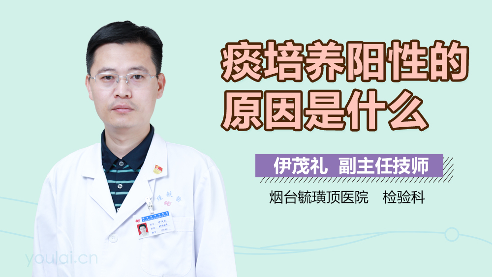 痰培养阳性的原因是什么