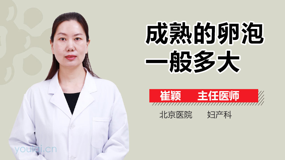 成熟的卵泡一般多大