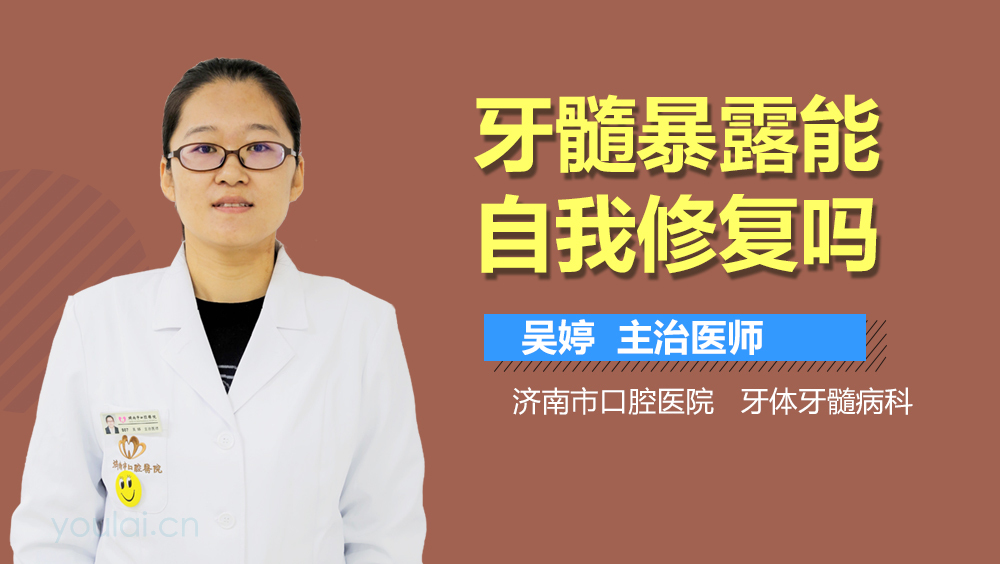 牙髓暴露能自我修复吗