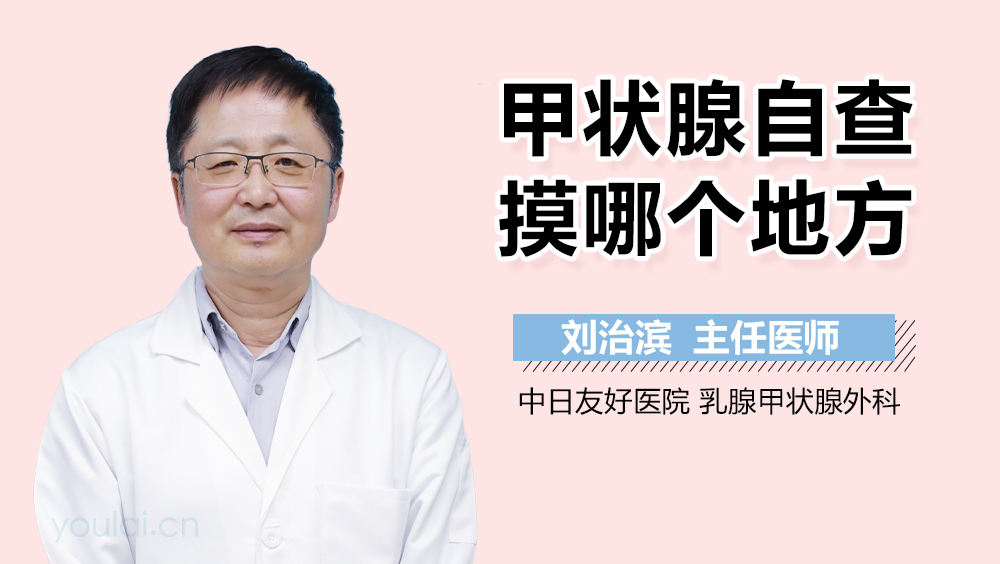 甲状腺自查摸哪个地方