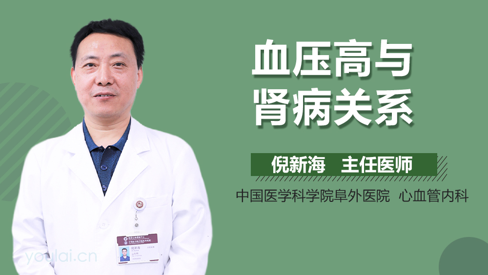 血压高与肾病关系