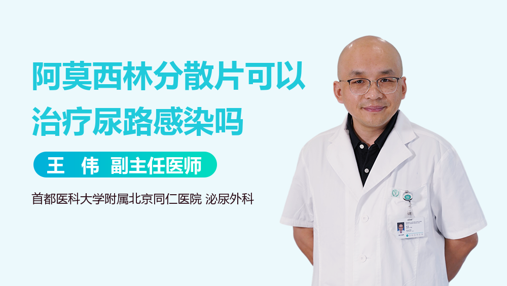 阿莫西林分散片可以治疗尿路感染吗