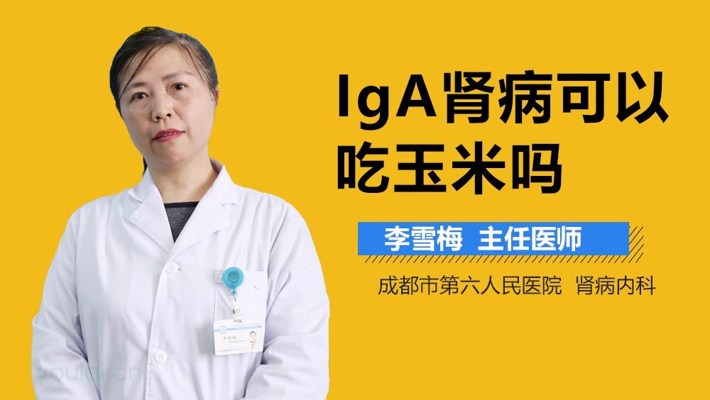 IgA肾病可以吃玉米吗