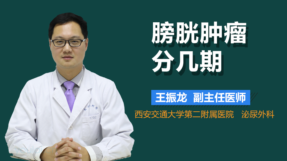 膀胱肿瘤分几期