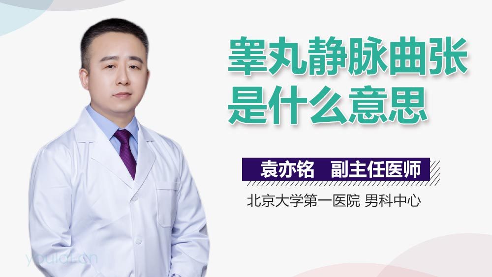 睾丸静脉曲张是什么意思