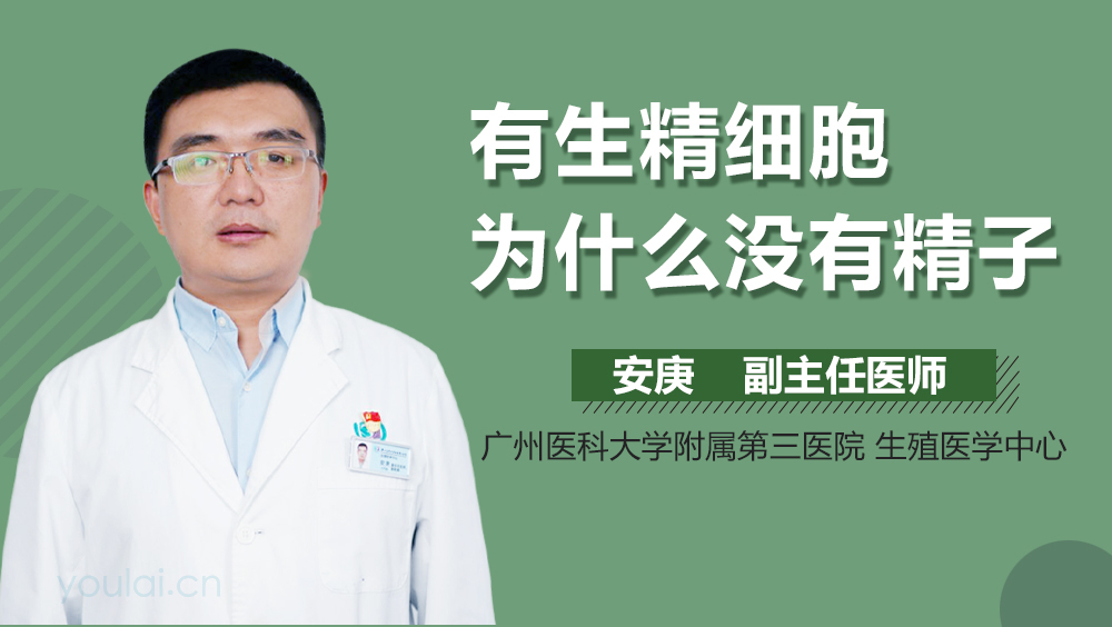 有生精细胞为什么没有精子
