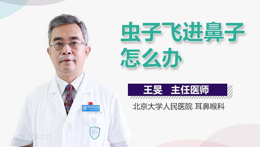 虫子飞进鼻子怎么办