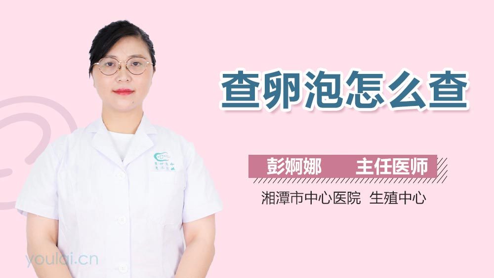 查卵泡怎么查