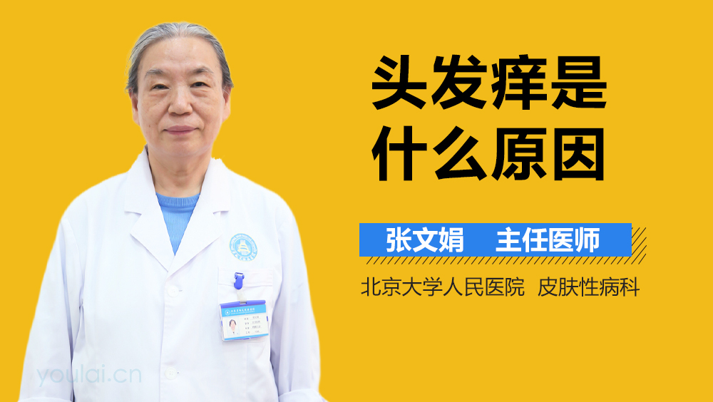 头发痒是什么原因