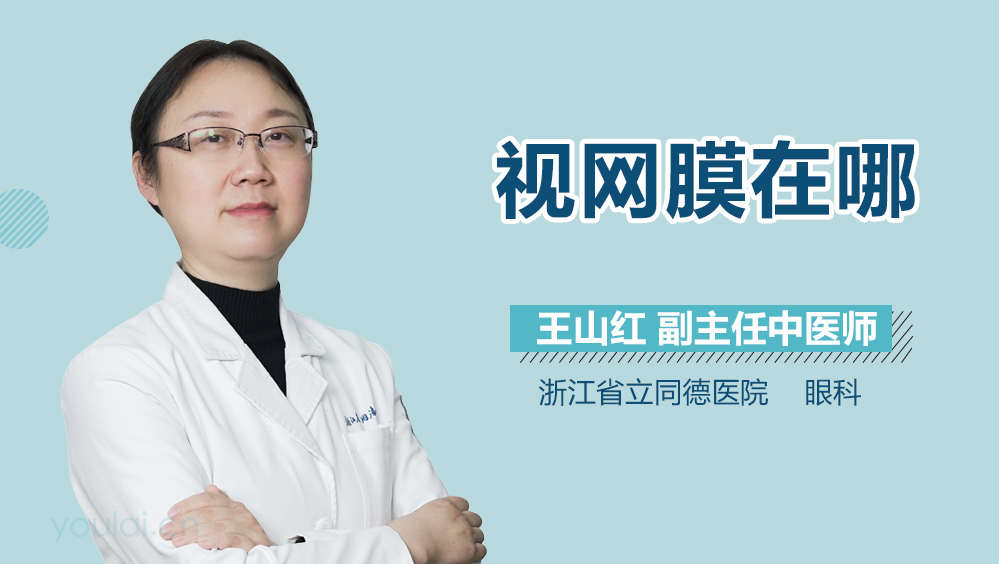 视网膜在哪