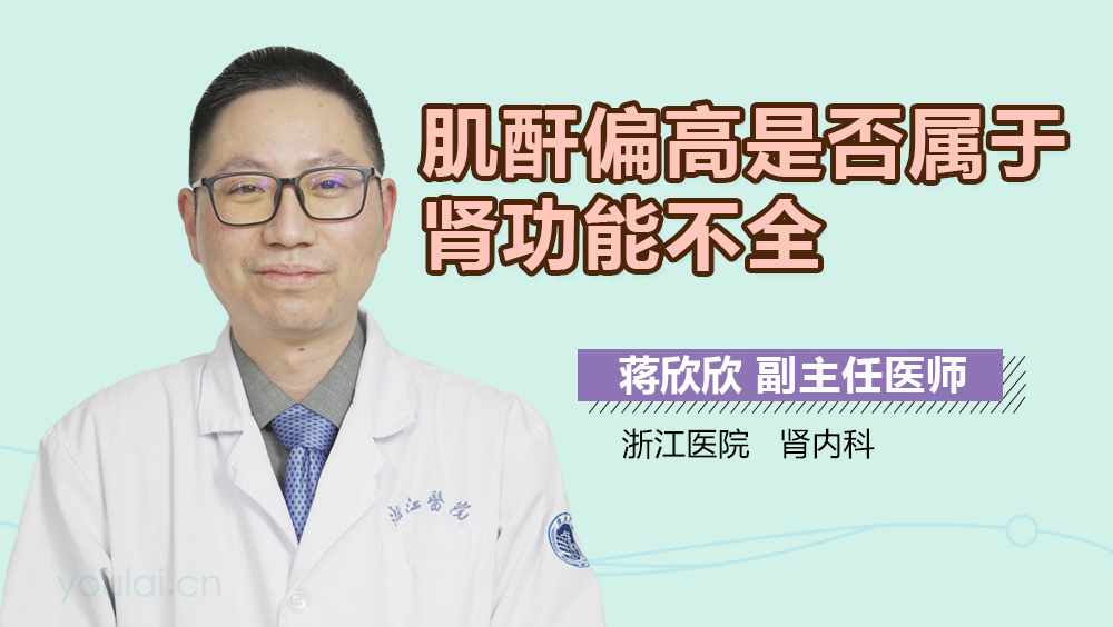 肌酐偏高是否属于肾功能不全