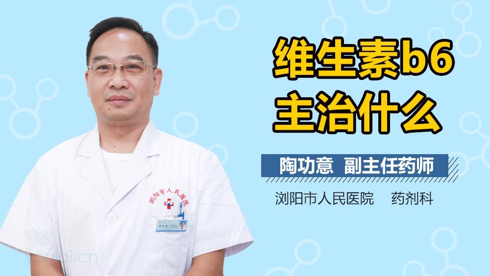 维生素b6主治什么