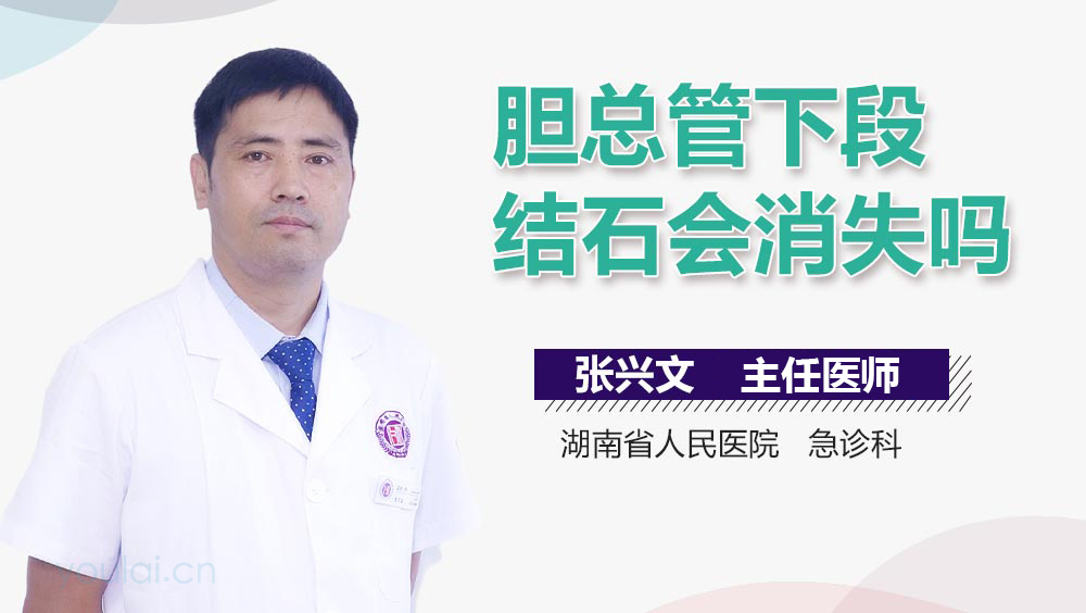 胆总管下段结石会消失吗