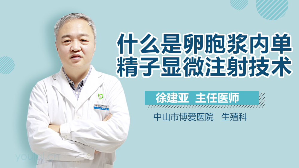 什么是卵胞浆内单精子显微注射技术