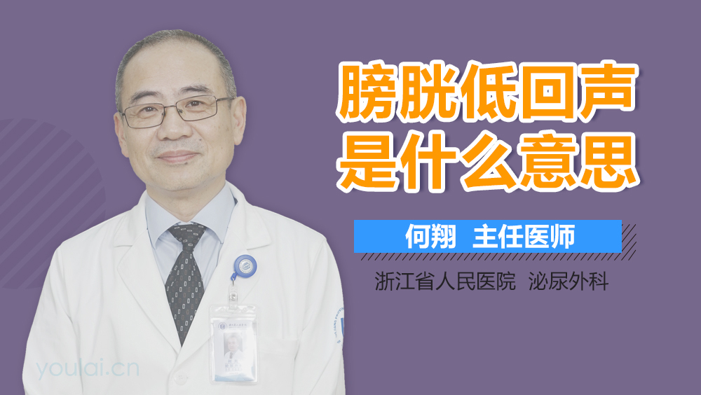 膀胱低回声是什么意思