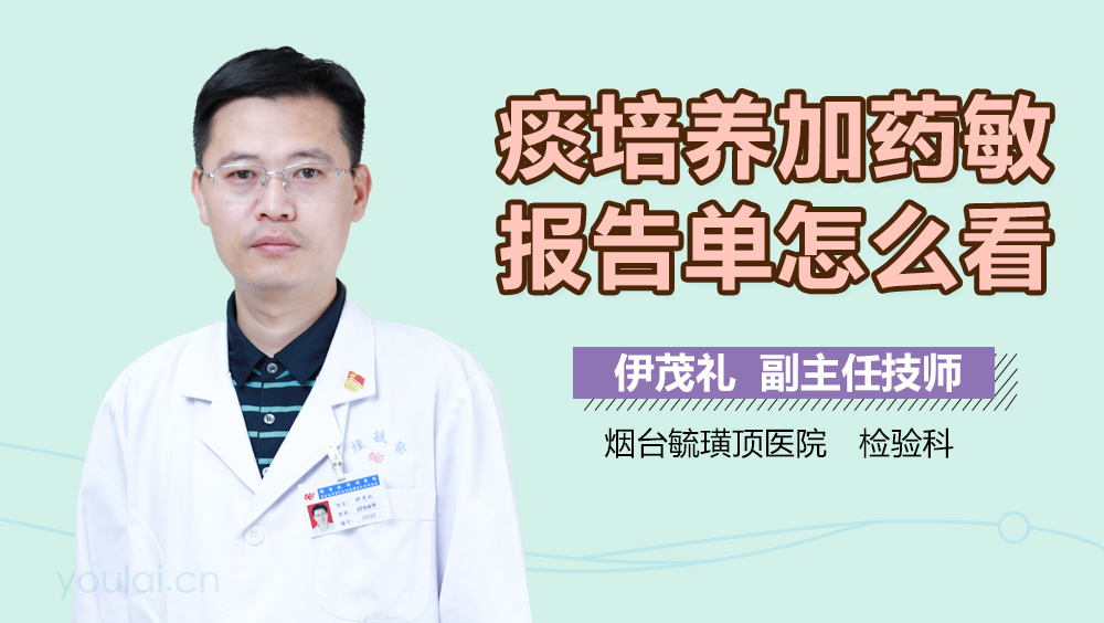 痰培养加药敏报告单怎么看