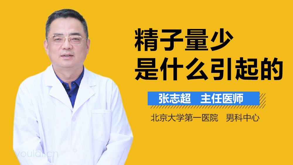 精子量少是什么引起的