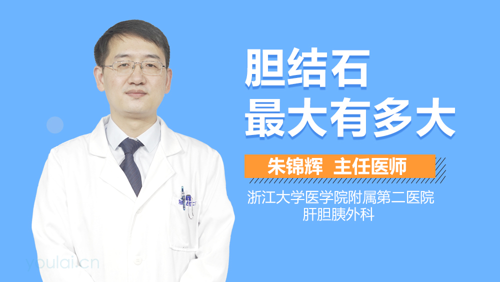 胆结石最大有多大