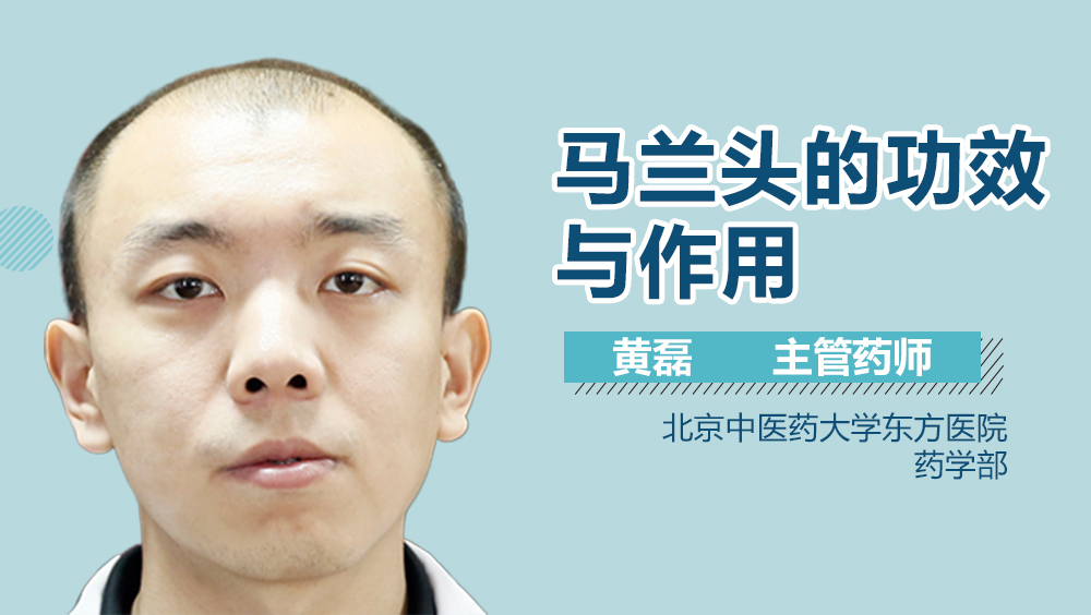 马兰头的功效与作用