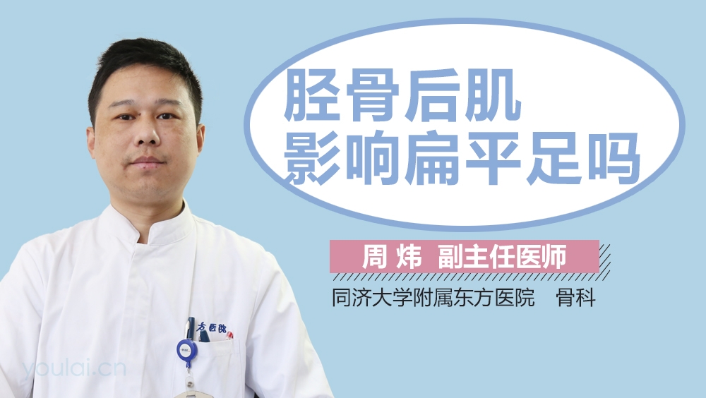 胫骨后肌影响扁平足吗