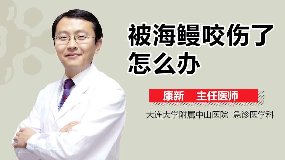 被海鳗咬伤了怎么办