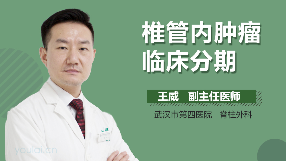 椎管内肿瘤临床分期