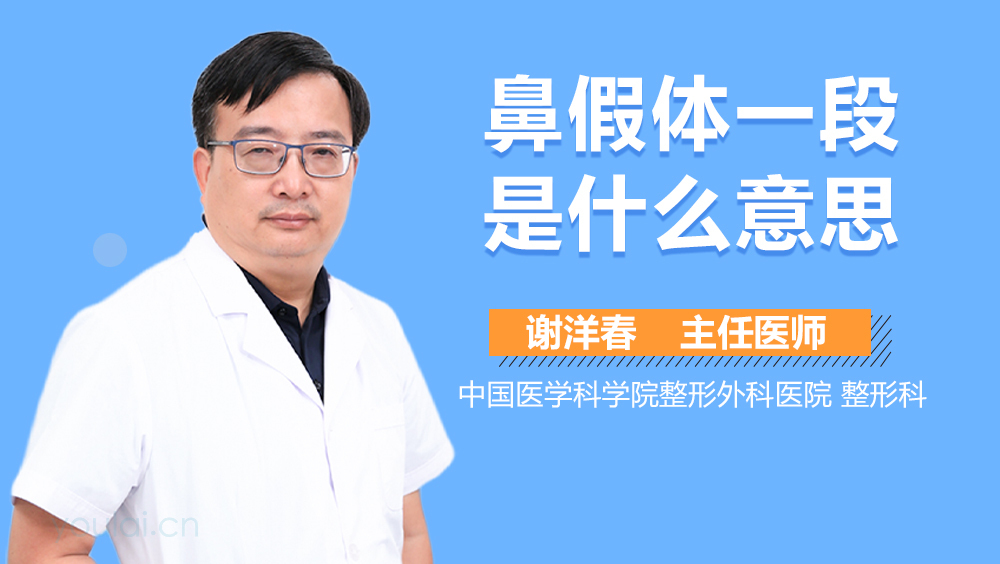 鼻假体一段是什么意思