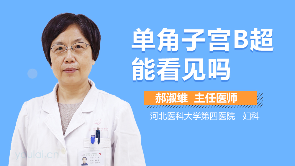 单角子宫B超能看见吗