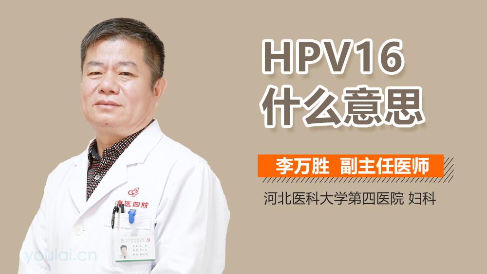 HPV16什么意思