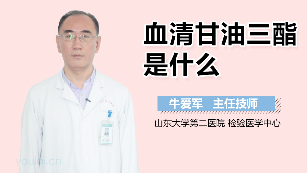 血清甘油三酯是什么