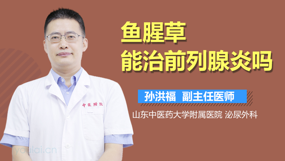 鱼腥草能治前列腺炎吗