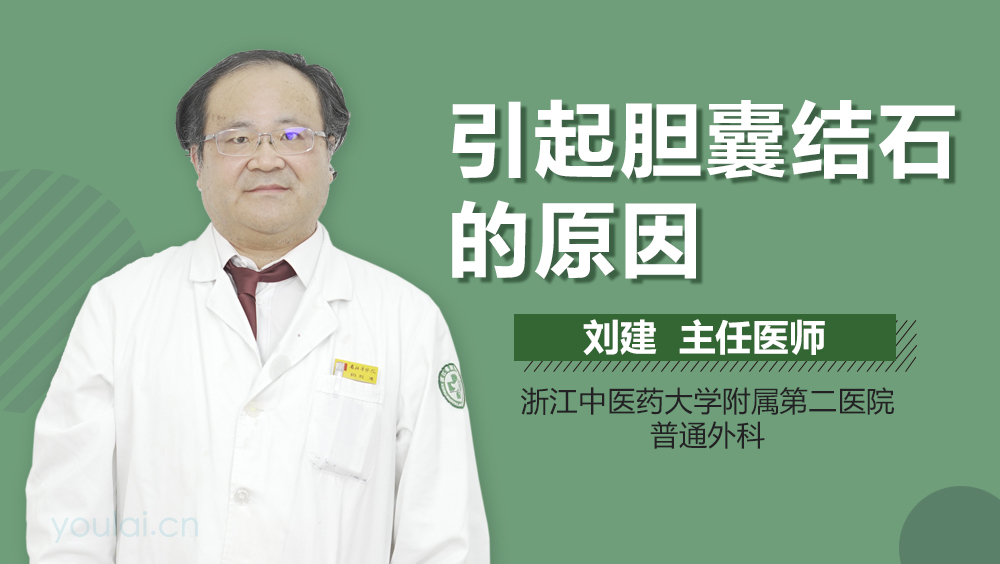 引起胆囊结石的原因