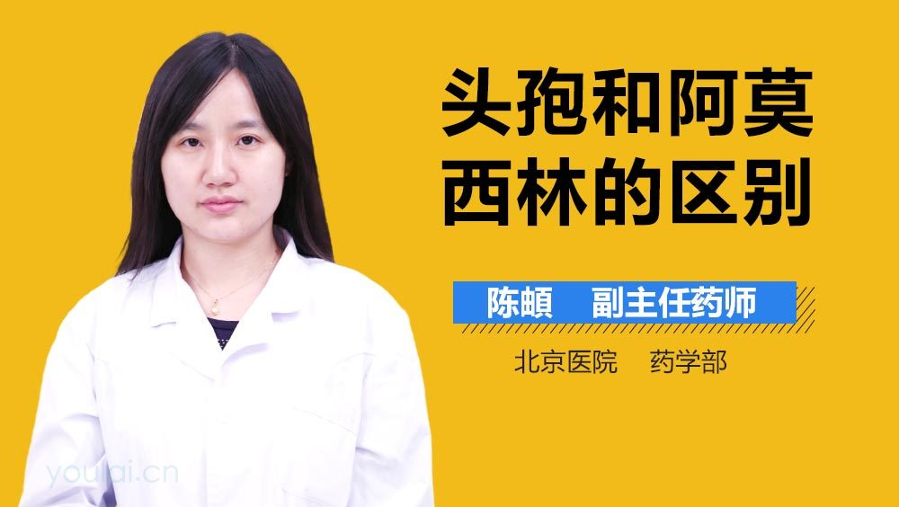 头孢和阿莫西林的区别