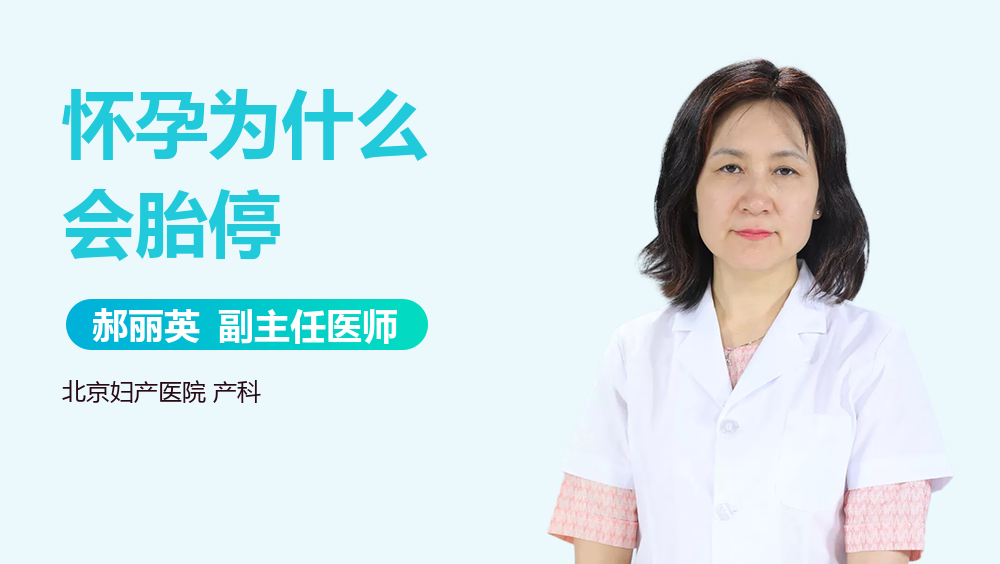 怀孕为什么会胎停
