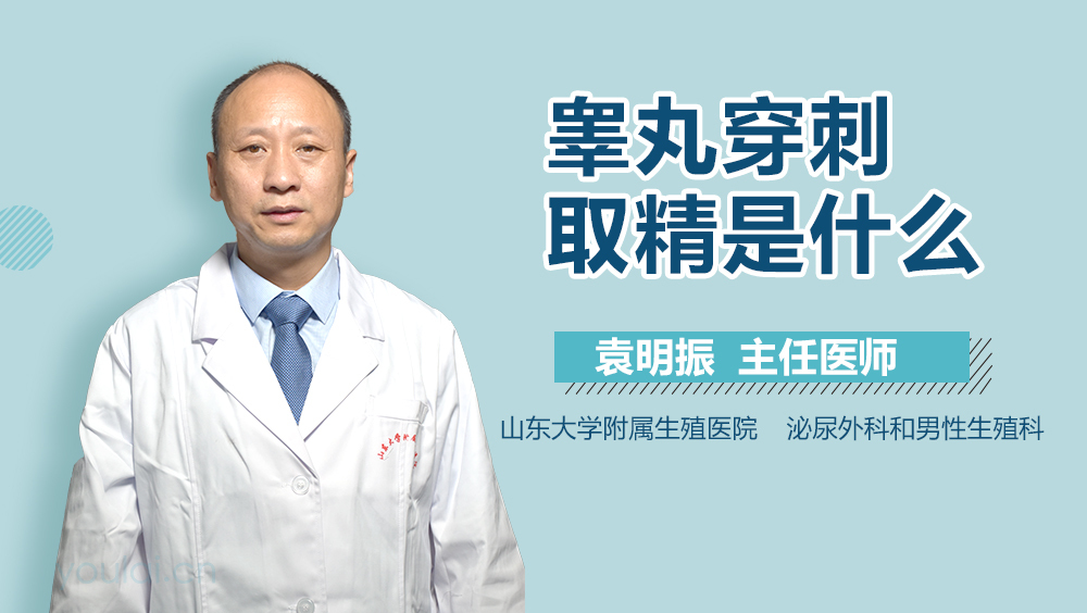 睾丸穿刺取精是什么