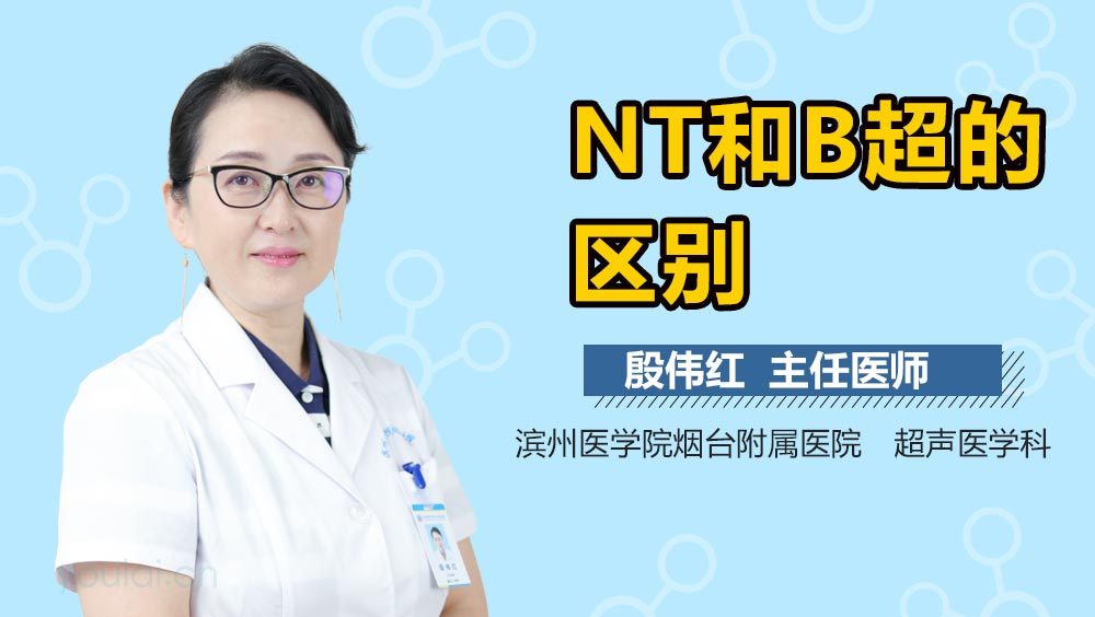 NT和B超的区别