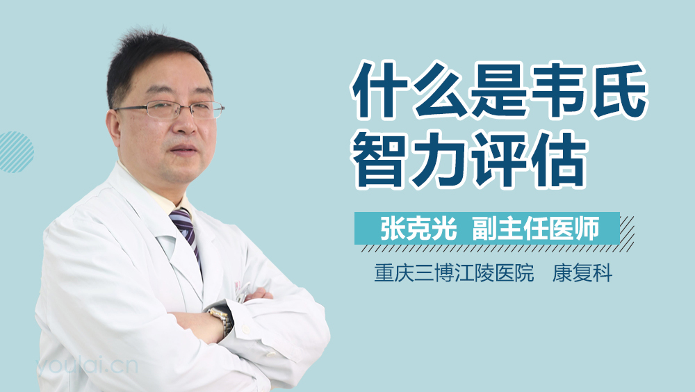 什么是韦氏智力评估