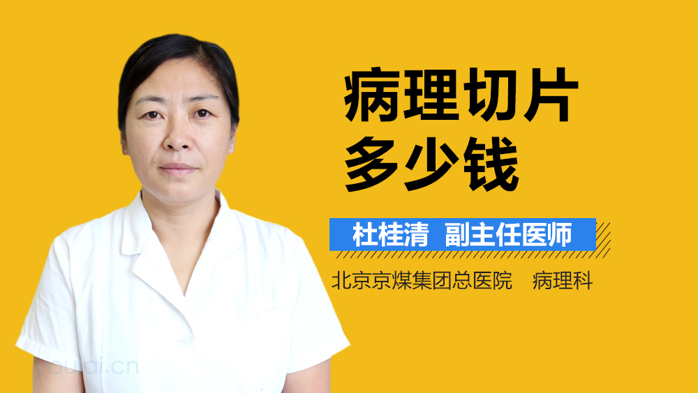 病理切片多少钱