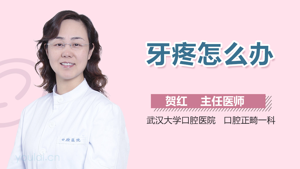 牙疼怎么办