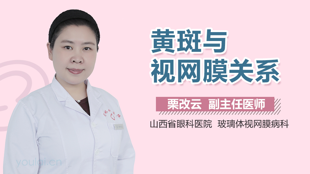 黄斑与视网膜关系