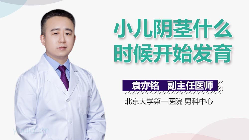 小儿阴茎什么时候开始发育