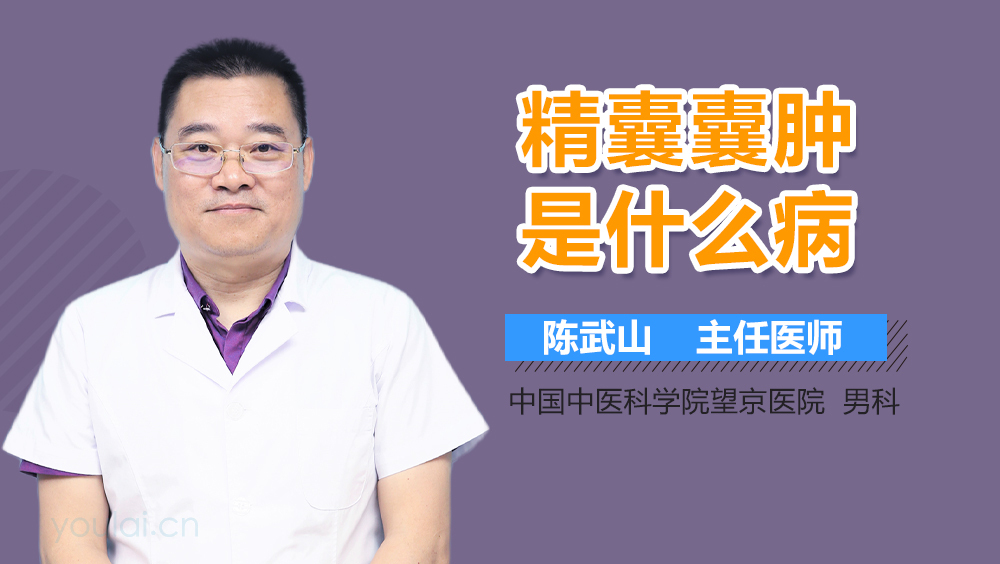 精囊囊肿是什么病