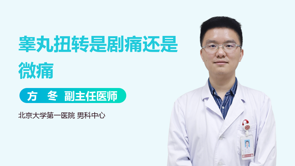 睾丸扭转是剧痛还是微痛