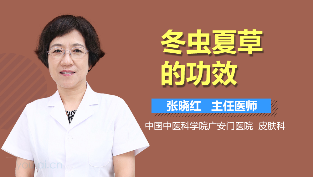 冬虫夏草的功效