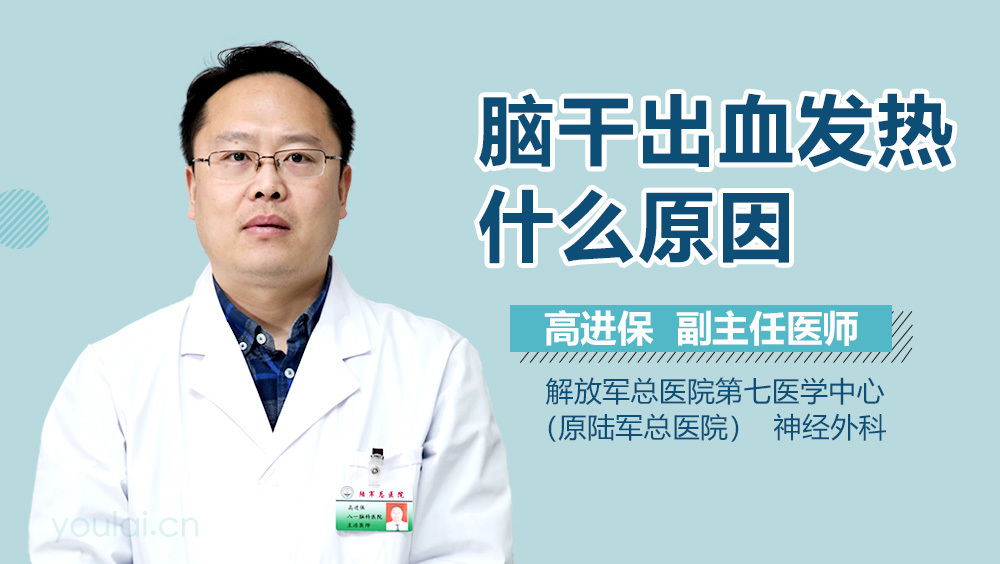 脑干出血发热什么原因