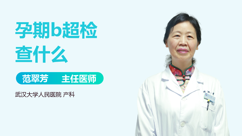 孕期b超检查什么