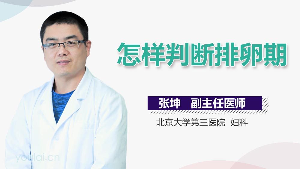 怎样判断排卵期