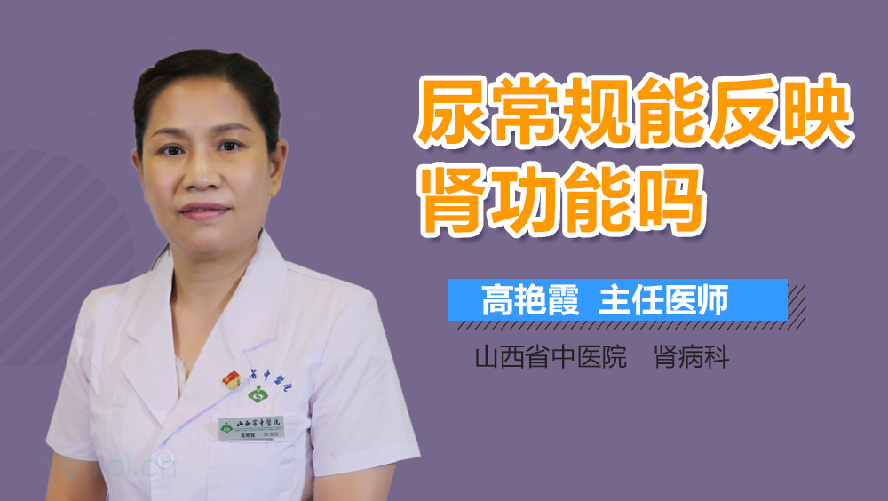 尿常规能反映肾功能吗